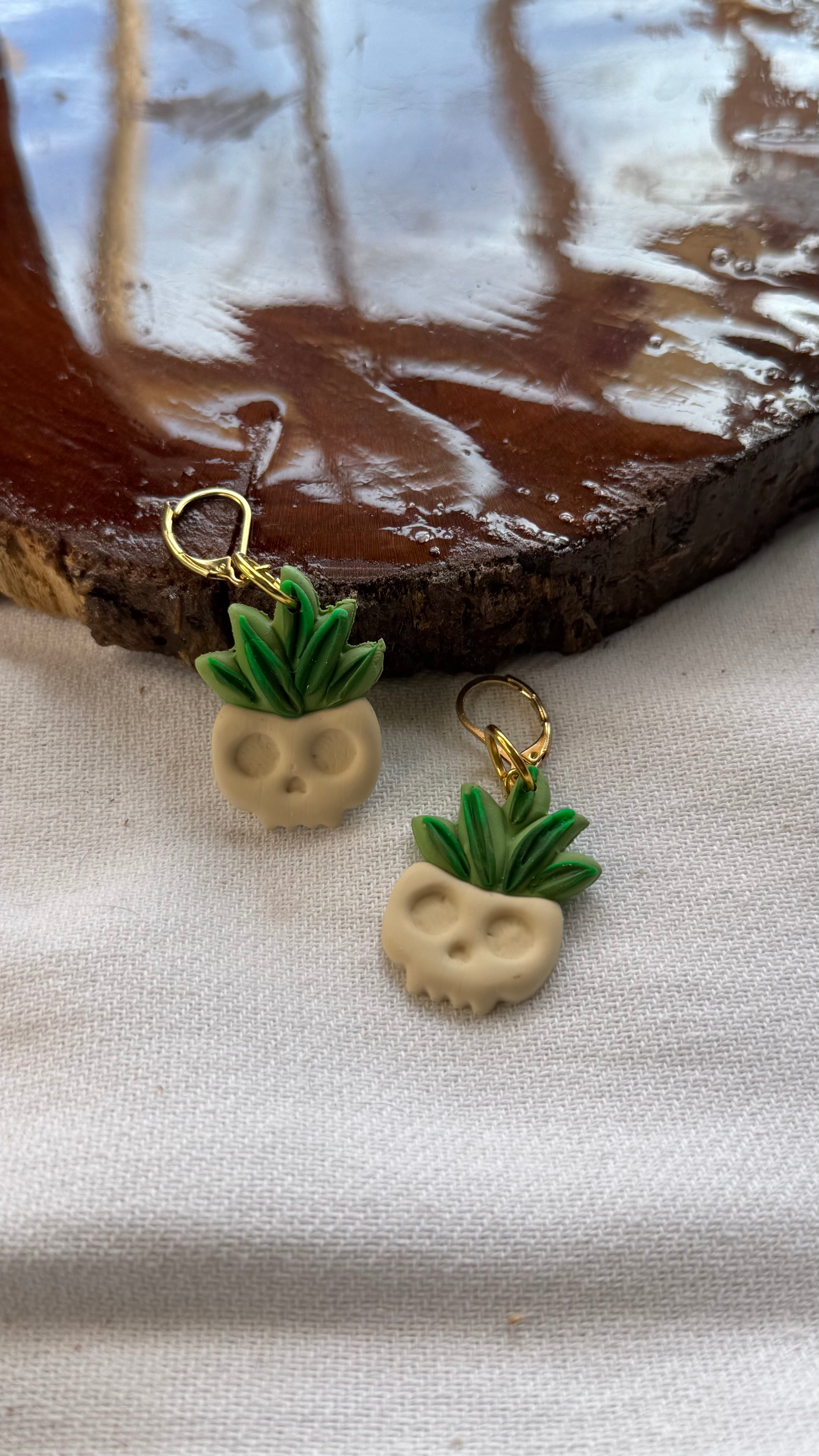 Skull Aloe